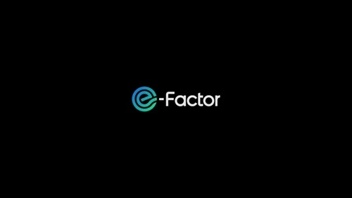 E Factor