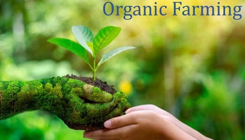 Organic-Farming